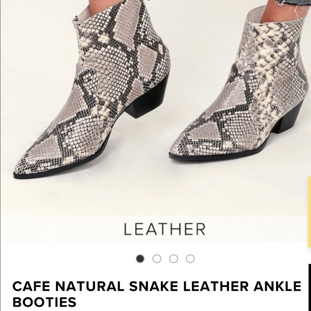 Snake print booties